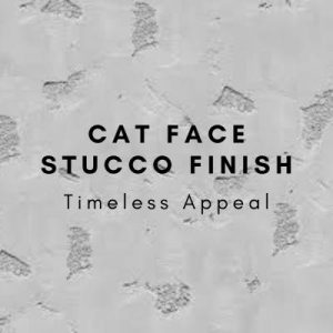 timeless cat face stucco